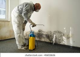 Lone Star, TX Mold Remediation Company